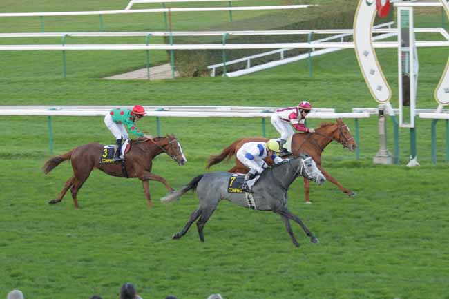 Photo d'arrivée de la course pmu PRIX DES HARAS à COMPIEGNE le Mercredi 18 novembre 2015
