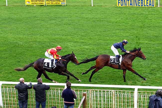 Photo d'arrivée de la course pmu PRIX DE LA SAPINIERE à FONTAINEBLEAU le Jeudi 19 novembre 2015