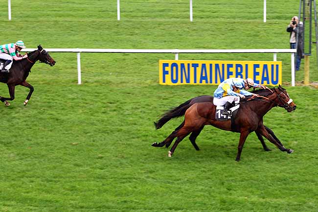 Photo d'arrivée de la course pmu PRIX D'EVRY à FONTAINEBLEAU le Jeudi 19 novembre 2015