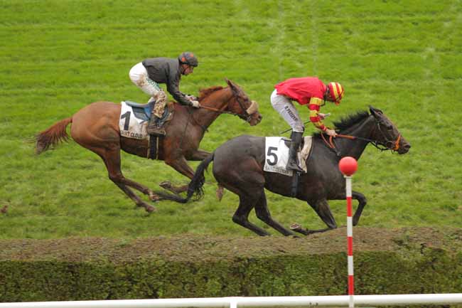 Photo d'arrivée de la course pmu PRIX DENISY à SAINT-CLOUD le Vendredi 20 novembre 2015