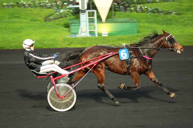 Photo d'arrivée de la course pmu PRIX DE BELLEY à PARIS-VINCENNES le Lundi 23 novembre 2015