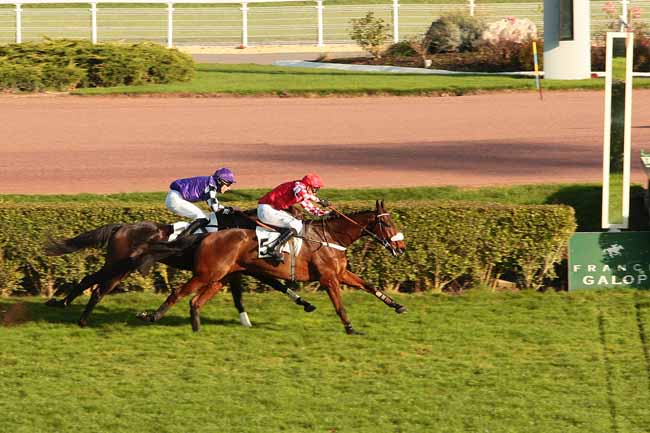 Photo d'arrivée de la course pmu PRIX THUYA à ENGHIEN le Lundi 23 novembre 2015