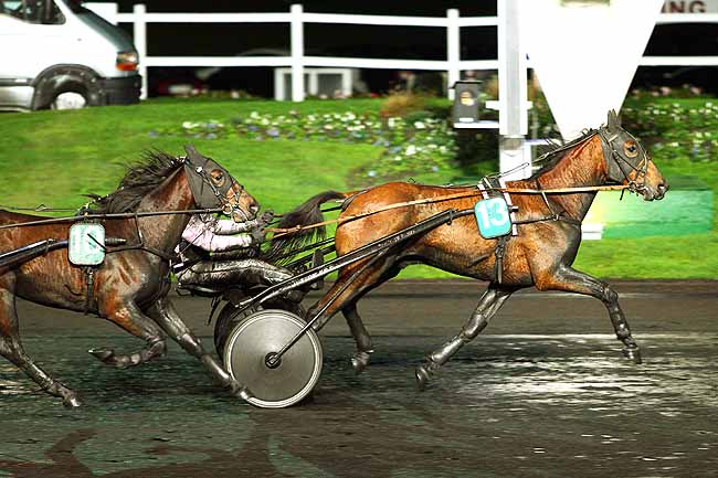 Photo d'arrivée de la course pmu PRIX FORTUNA (GR A) à PARIS-VINCENNES le Mardi 24 novembre 2015