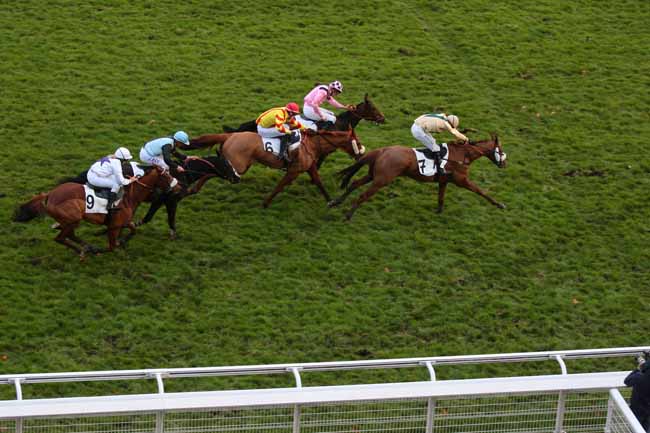 Photo d'arrivée de la course pmu PRIX BARCELONNETTE à AUTEUIL le Mercredi 25 novembre 2015