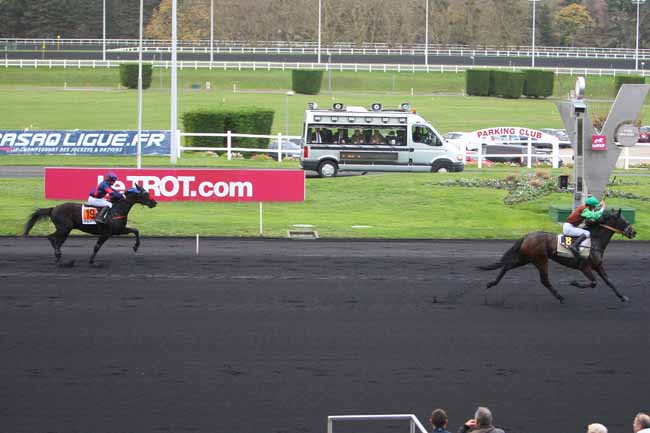 Photo d'arrivée de la course pmu PRIX DE L'ILE DE RE à PARIS-VINCENNES le Jeudi 26 novembre 2015