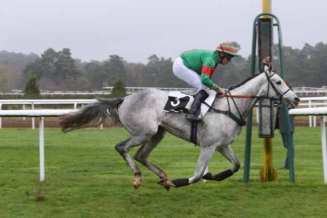 Photo d'arrivée de la course pmu PRIX DE MACHERIN à FONTAINEBLEAU le Vendredi 27 novembre 2015