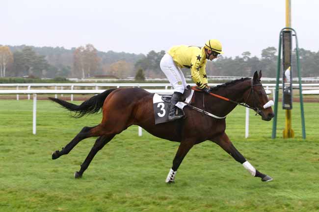 Photo d'arrivée de la course pmu GRANDE COURSE DE HAIES DE FONTAINEBLEAU à FONTAINEBLEAU le Vendredi 27 novembre 2015