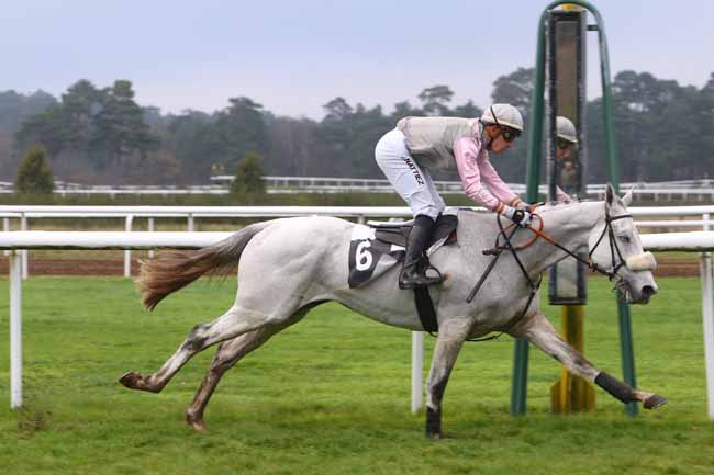 Photo d'arrivée de la course pmu GRAND STEEPLE-CHASE DE LA SOLLE à FONTAINEBLEAU le Vendredi 27 novembre 2015