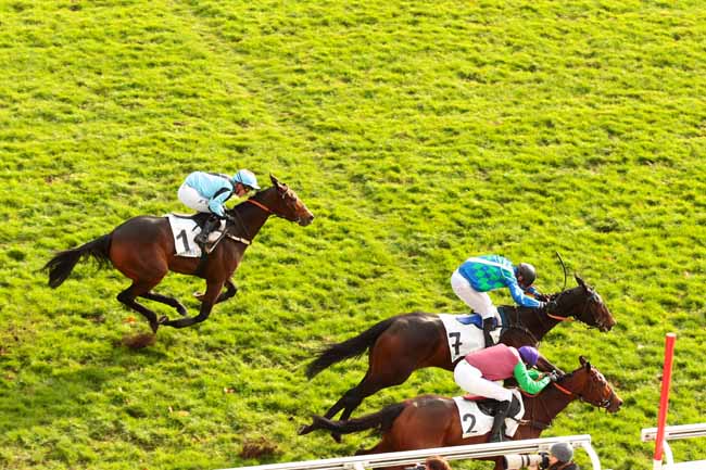Photo d'arrivée de la course pmu PRIX KERYM à AUTEUIL le Dimanche 29 novembre 2015