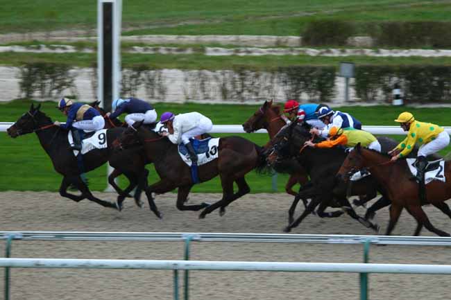 Photo d'arrivée de la course pmu PRIX DE CISAI à DEAUVILLE le Lundi 30 novembre 2015