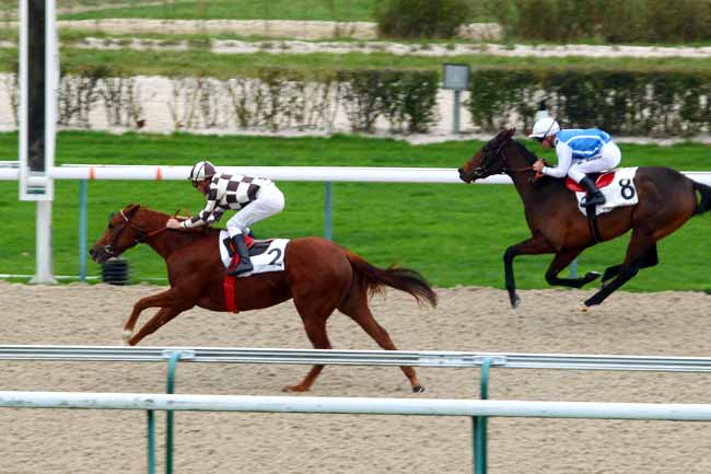 Photo d'arrivée de la course pmu PRIX PRINCELINE à DEAUVILLE le Mercredi 2 décembre 2015