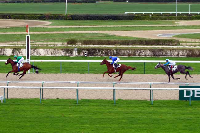 Photo d'arrivée de la course pmu PRIX DE LA MARE ELAN à DEAUVILLE le Mercredi 2 décembre 2015