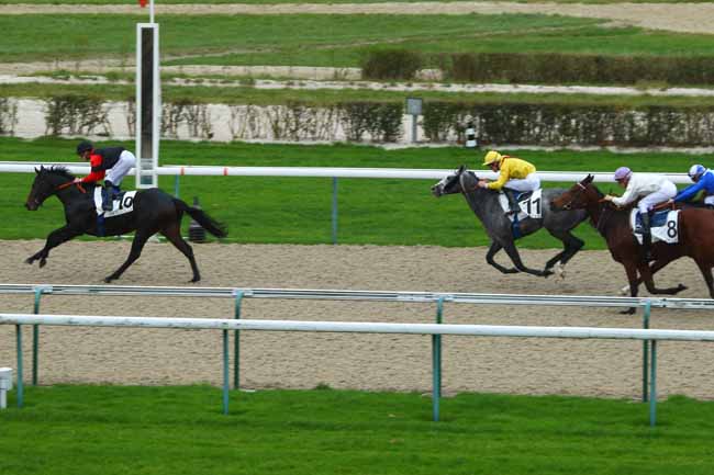 Photo d'arrivée de la course pmu PRIX DE DOVILLE à DEAUVILLE le Mercredi 2 décembre 2015