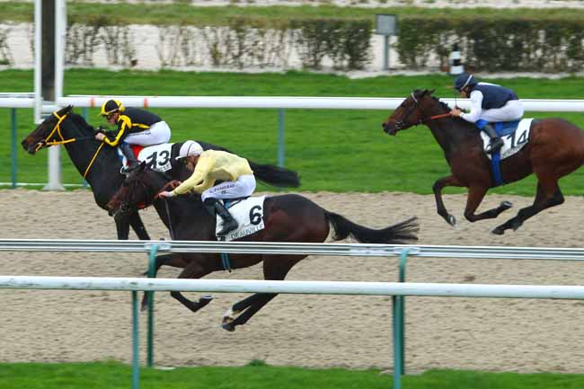 Photo d'arrivée de la course pmu PRIX DE PRECOLETTE à DEAUVILLE le Mercredi 2 décembre 2015