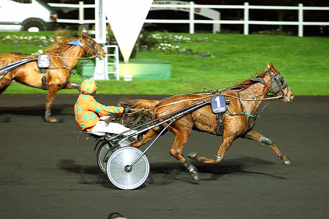 Photo d'arrivée de la course pmu PRIX HESTIA à PARIS-VINCENNES le Vendredi 4 décembre 2015