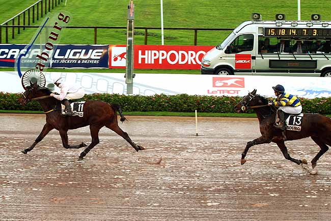 Photo d'arrivée de la course pmu PRIX DES SAULES à CABOURG le Mardi 8 décembre 2015