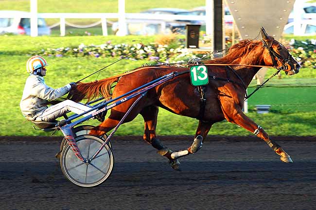 Photo d'arrivée de la course pmu PRIX DE MONTARGIS à PARIS-VINCENNES le Mercredi 9 décembre 2015