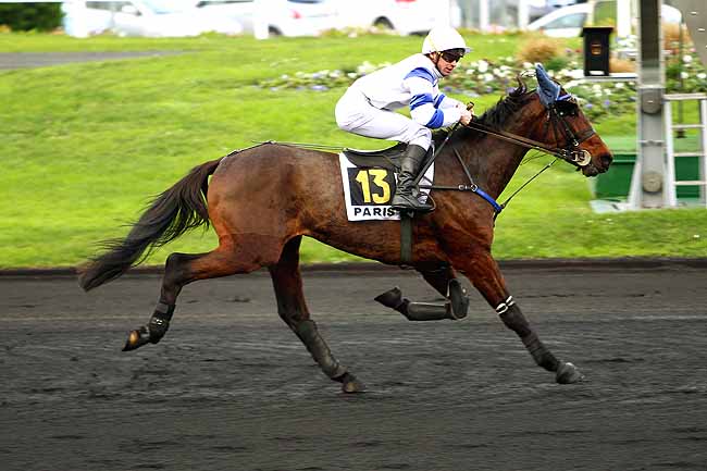 Photo d'arrivée de la course pmu PRIX DE LANGON à PARIS-VINCENNES le Jeudi 10 décembre 2015