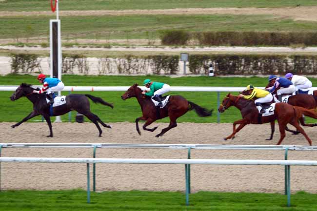 Photo d'arrivée de la course pmu PRIX SANEDTKI à DEAUVILLE le Vendredi 11 décembre 2015