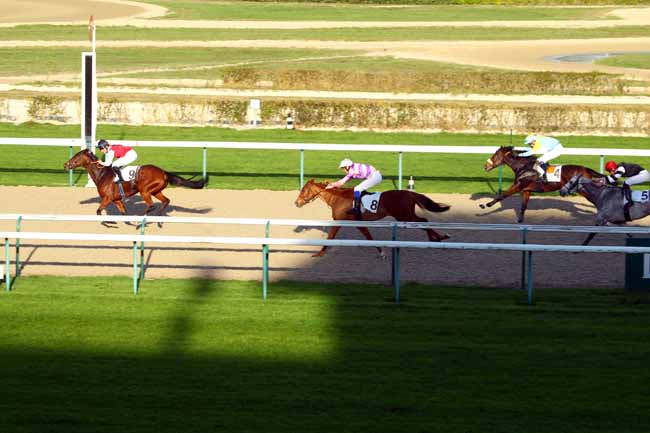 Photo d'arrivée de la course pmu PRIX DE BONNERIE à DEAUVILLE le Samedi 12 décembre 2015
