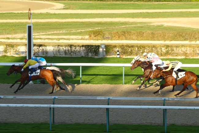 Photo d'arrivée de la course pmu PRIX DE L'AIGLE à DEAUVILLE le Samedi 12 décembre 2015