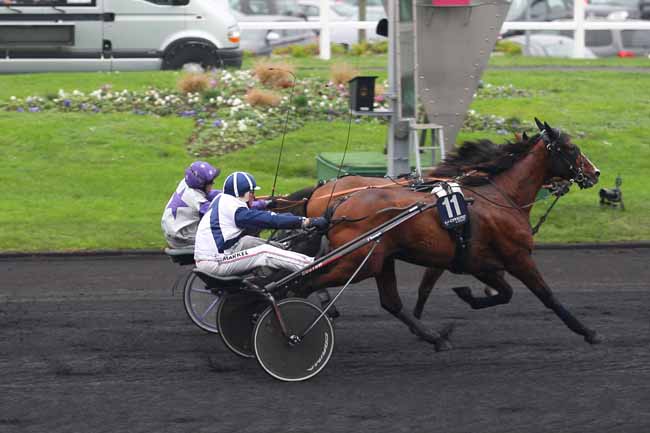 Photo d'arrivée de la course pmu CRITERIUM DES 3 ANS à PARIS-VINCENNES le Dimanche 13 décembre 2015