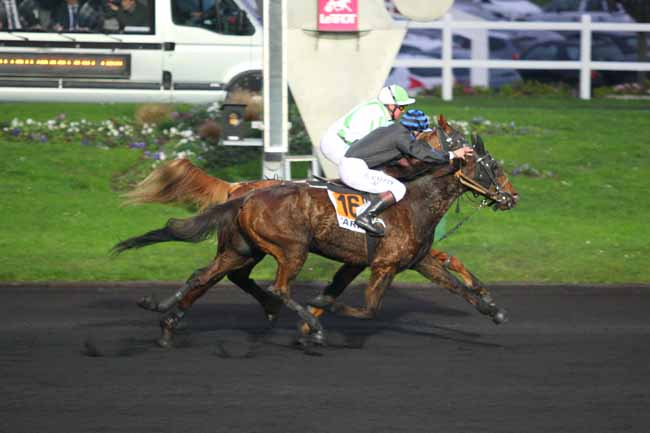 Photo d'arrivée de la course pmu PRIX DE CASTILLONNES à PARIS-VINCENNES le Dimanche 13 décembre 2015