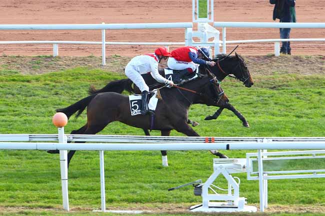Photo d'arrivée de la course pmu PRIX JEAN DOUMEN à CAGNES-SUR-MER le Lundi 14 décembre 2015