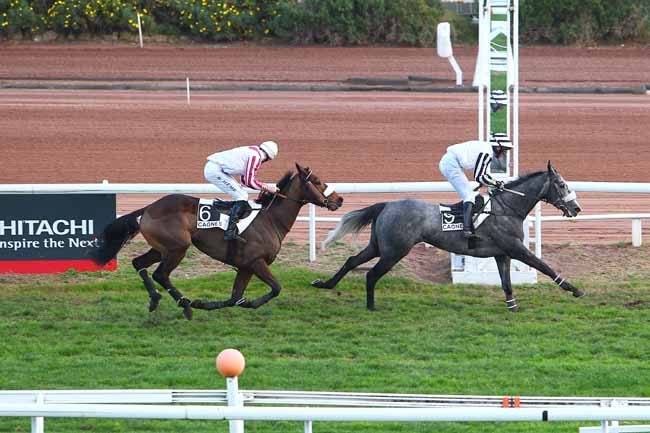 Photo d'arrivée de la course pmu PRIX DU GENERAL DU CORAIL à CAGNES-SUR-MER le Lundi 14 décembre 2015
