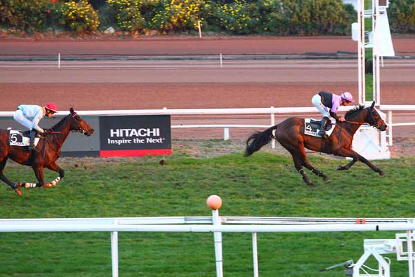 Photo d'arrivée de la course pmu PRIX DU MONT VIAL à CAGNES-SUR-MER le Lundi 14 décembre 2015