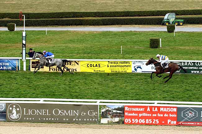 Photo d'arrivée de la course pmu PRIX DE SAINT-VINCENT à PAU le Mardi 15 décembre 2015