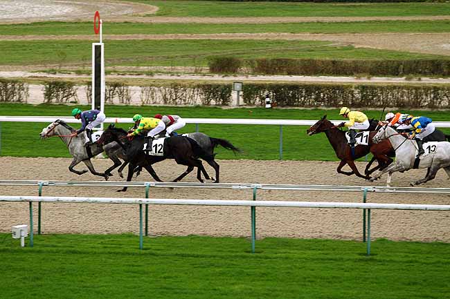 Photo d'arrivée de la course pmu PRIX DES GODERELLES à DEAUVILLE le Mercredi 16 décembre 2015