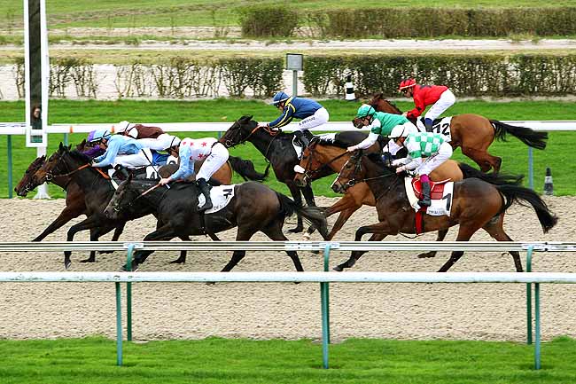 Photo d'arrivée de la course pmu PRIX DE MONDEVILLE à DEAUVILLE le Mercredi 16 décembre 2015