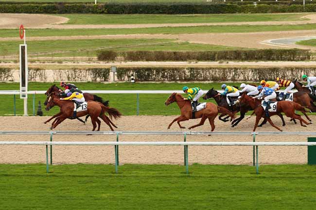Photo d'arrivée de la course pmu PRIX DE LA TORTONNE à DEAUVILLE le Jeudi 17 décembre 2015