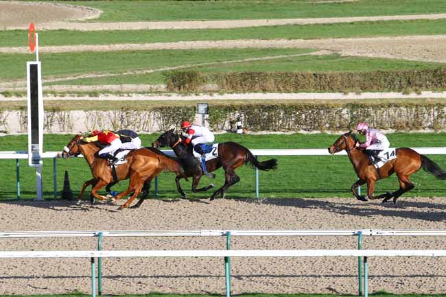 Photo d'arrivée de la course pmu PRIX DE BALME à DEAUVILLE le Lundi 21 décembre 2015