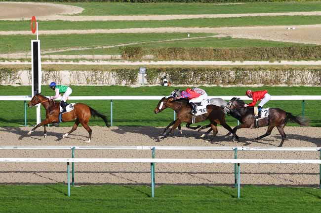 Photo d'arrivée de la course pmu PRIX DE FOLLEVILLE à DEAUVILLE le Lundi 21 décembre 2015