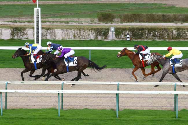 Photo d'arrivée de la course pmu PRIX DU BOCAGE VIROIS à DEAUVILLE le Lundi 21 décembre 2015