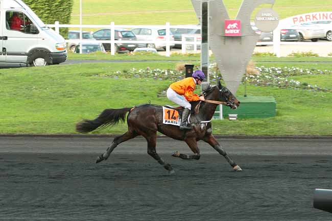 Photo d'arrivée de la course pmu PRIX DE LA REOLE à PARIS-VINCENNES le Mardi 22 décembre 2015