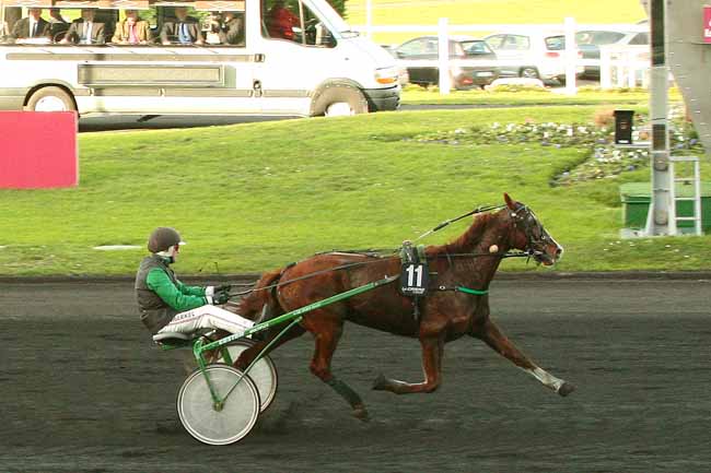 Photo d'arrivée de la course pmu PRIX DE LA TREMBLADE à PARIS-VINCENNES le Mardi 22 décembre 2015