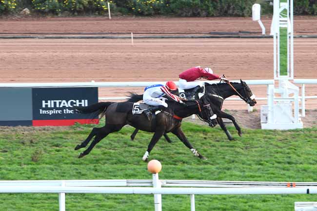 Photo d'arrivée de la course pmu PRIX DE BIRMINGHAM à CAGNES-SUR-MER le Mercredi 23 décembre 2015