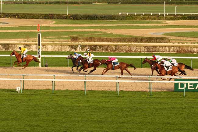 Photo d'arrivée de la course pmu PRIX DE FLERS à DEAUVILLE le Dimanche 27 décembre 2015