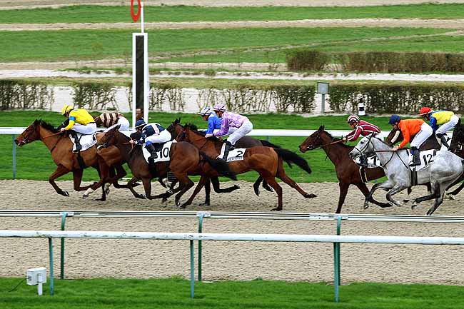 Photo d'arrivée de la course pmu PRIX DU MONT LION à DEAUVILLE le Lundi 28 décembre 2015