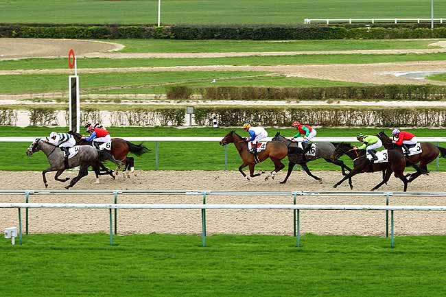 Photo d'arrivée de la course pmu PRIX DU VEXIN NORMAND à DEAUVILLE le Lundi 28 décembre 2015