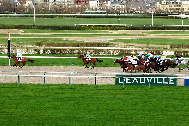 Photo d'arrivée de la course pmu PRIX DE MEHERAN à DEAUVILLE le Lundi 28 décembre 2015