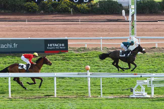 Photo d'arrivée de la course pmu PRIX DE L'AQUITAINE à CAGNES-SUR-MER le Mercredi 30 décembre 2015