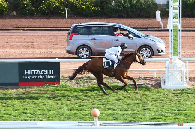 Photo d'arrivée de la course pmu PRIX DE LA BRETAGNE à CAGNES-SUR-MER le Mercredi 30 décembre 2015