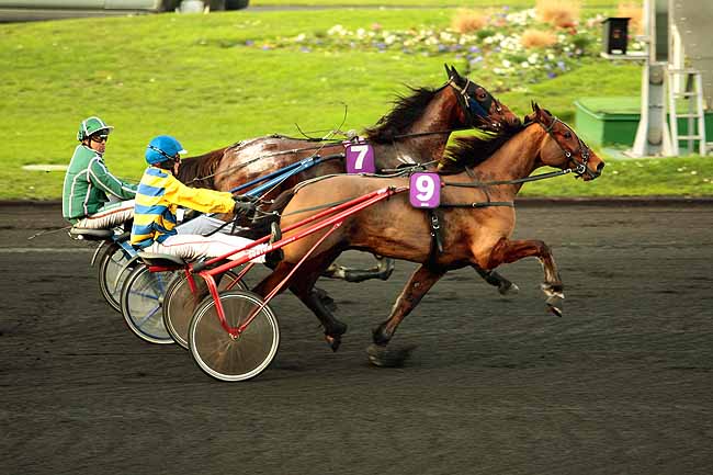 Photo d'arrivée de la course pmu PRIX DE CONDE à PARIS-VINCENNES le Mercredi 30 décembre 2015