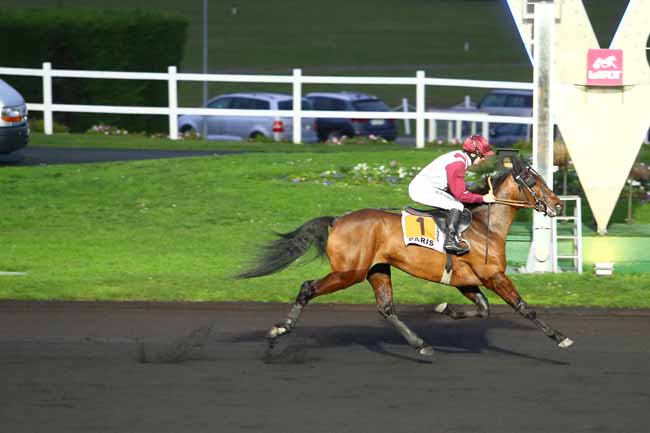 Photo d'arrivée de la course pmu PRIX DE NIMES à PARIS-VINCENNES le Vendredi 1 janvier 2016
