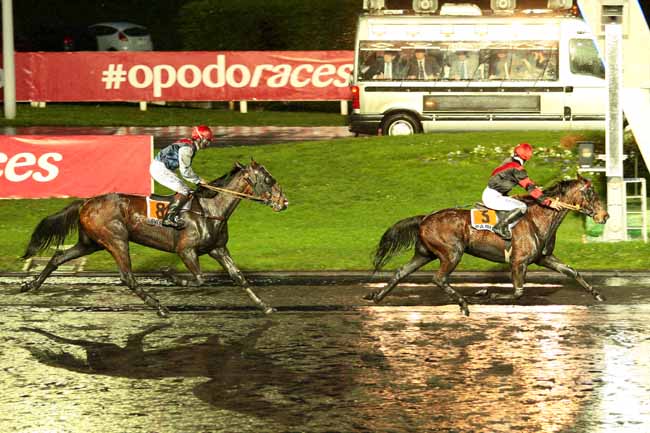 Photo d'arrivée de la course pmu PRIX DE BRIOUDE à PARIS-VINCENNES le Dimanche 3 janvier 2016
