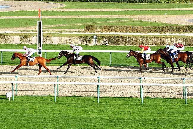 Photo d'arrivée de la course pmu PRIX DE MARTAINVILLE à DEAUVILLE le Lundi 4 janvier 2016